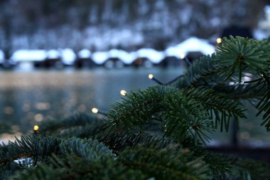 coniferous branch with lights, In the background there is a lake with wooden houses, the roofs of which are covered with snow clipart