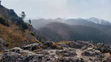Tatra manzaralı bir dağ manzarası. Ön planda büyük gri taşlardan oluşan kayalık bir sırt var..