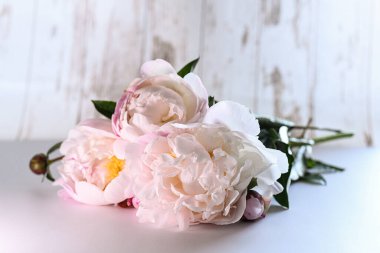 Fotoğrafta bir buket narin, açık pembe şakayık var. Çiçek yaprakları gür ve çok katmanlı.