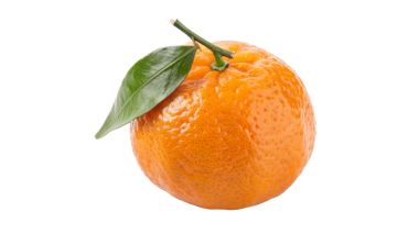 Şeffaf arkaplanda turuncu izole edilmiş 