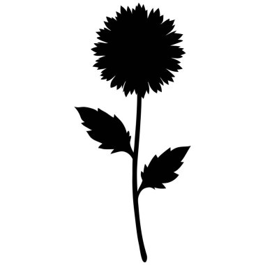 Ageratum silueti beyaz arka planda izole edilmiş. Ageratum işaret vektör illüstrasyon tasarımı