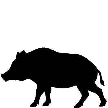 Beyaz arka planda izole edilmiş kunduz silueti. Kunduz işaret vektör çizimi tasarımı