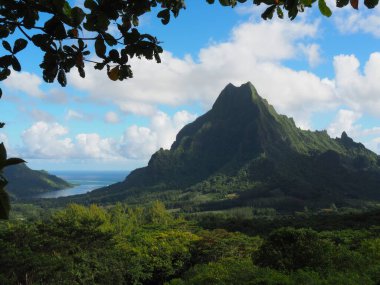 Moorea dünyadaki son el değmemiş yerlerden biri haline geldi..