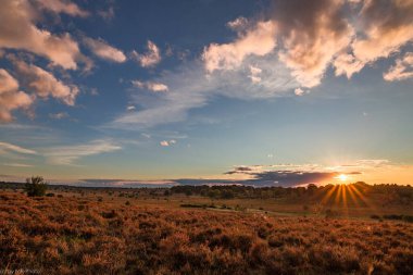 Sahada gün batımı