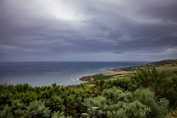 Deniz kıyısında göster