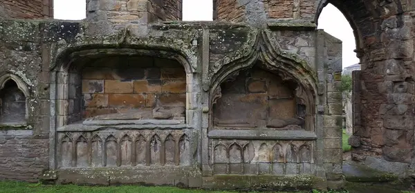 Ormandaki bir kalenin harabelerinin dikey görüntüsü.