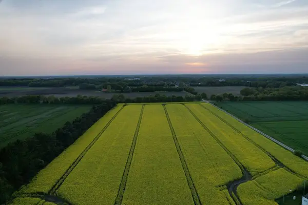 Yeşil tarlaların ve tarım arazilerinin havadan görünüşü