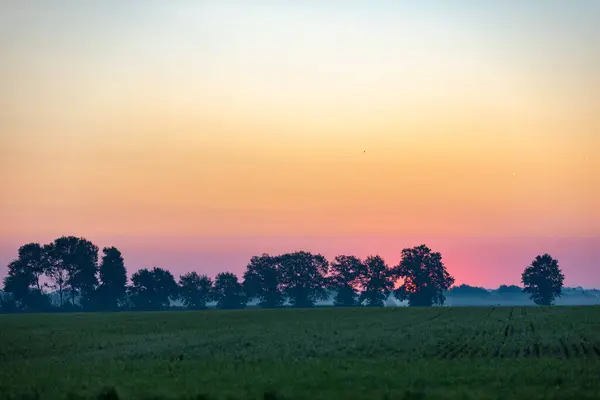 Kırsalda günbatımı, buğday ve ağaç tarlaları.