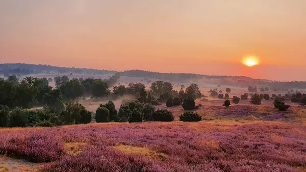Tarlada güzel bir gün batımı