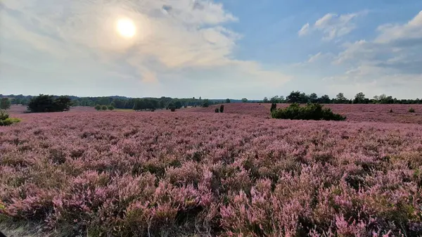 Doğanın güzel manzarası