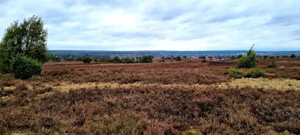 Yukarıdan ormana manzara ve bulutlu bir gün