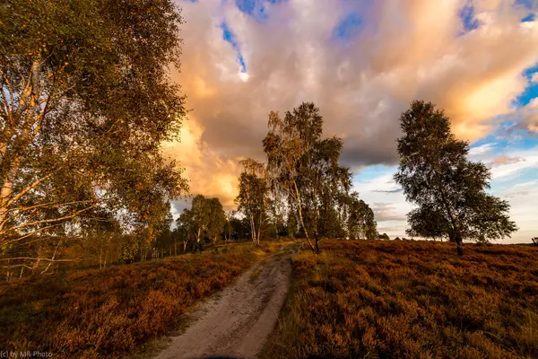 Ağaçlar ve bulutlarla dolu sonbahar manzarası