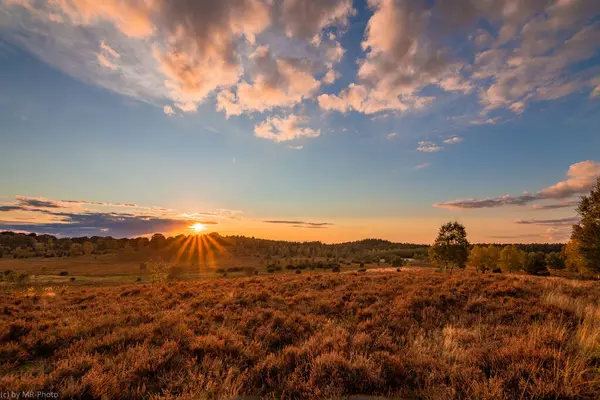 Ormanda güzel bir gün batımı