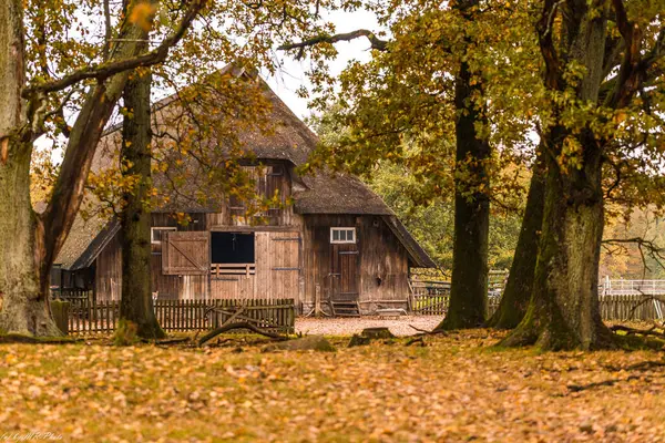 Bispinger Heide 'de Heidschnucken Stall