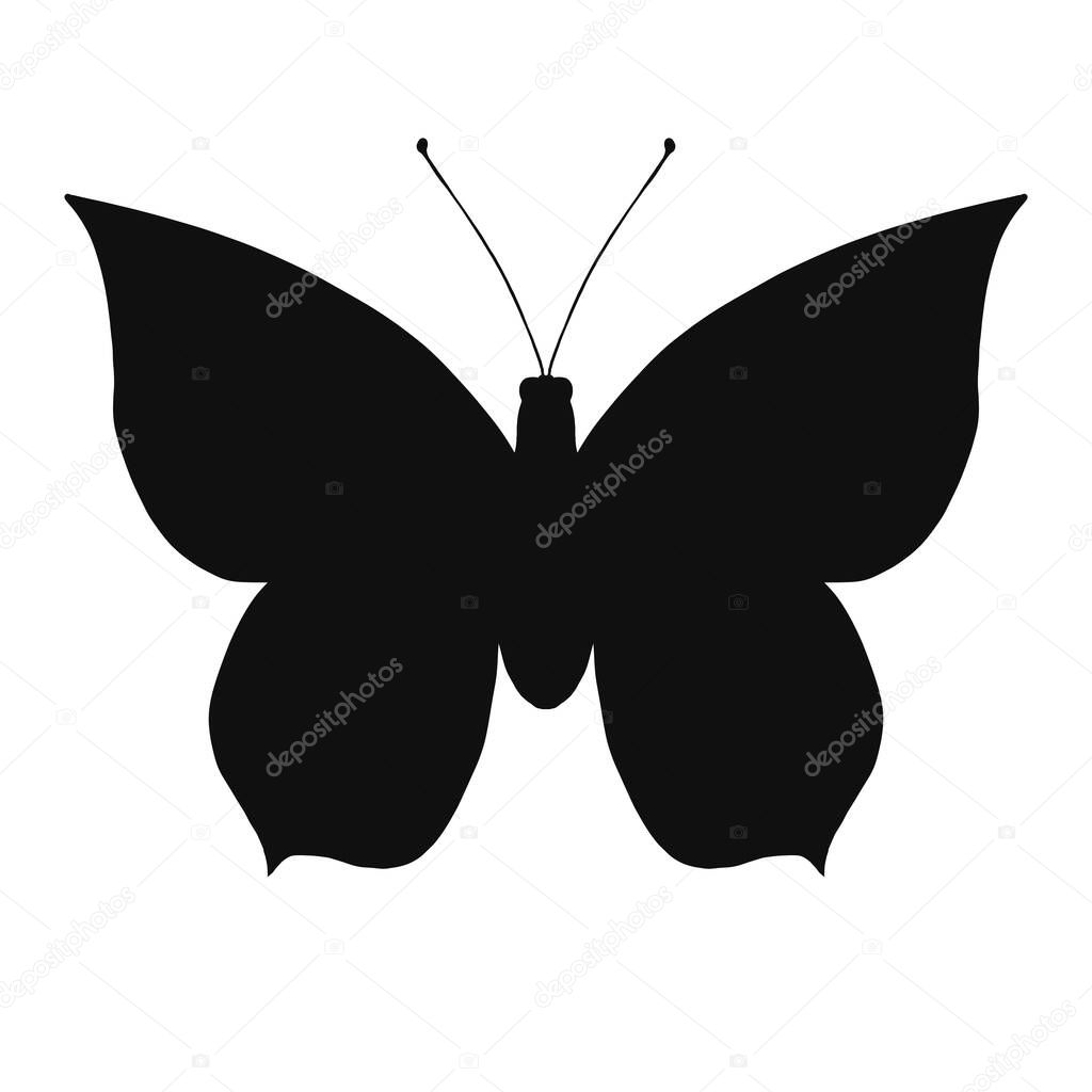 Isolated butterfly on white background for design pupose