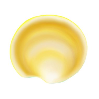 Tasarım ihtiyaçları için beyaz bir arkaplan önünde izole deniz kabuğu çizimi