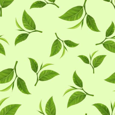 Yarı gerçekçi, kusursuz çay yaprağı deseni. El yapımı yaprak deseni. Beyaz arka planda yaprak izole edilmiş. Bahar, yaz, sonbahar mevsimi konsepti, Paskalya, doğa. Kart, baskı ve kapak için tasarım