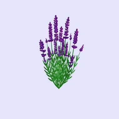 Kusursuz suluboya kapaklar, notlar, yumuşak arkaplan renkleri için eşsiz çiçek desenli arka plan. Suluboya sanat eseri. Çiçek sapı. Renkli çiçek