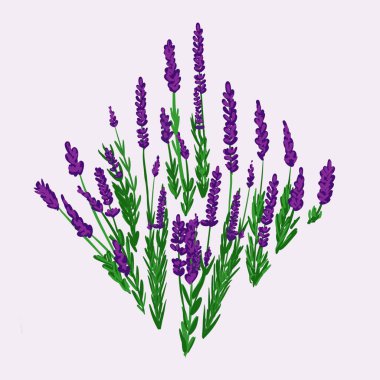 Kusursuz suluboya ve kapaklar, notlar ve afişler için eşsiz çiçek desenli arka plan. Yumuşak arkaplan rengi. Suluboya sanat eseri. Çiçek sapı. Renkli çiçek.