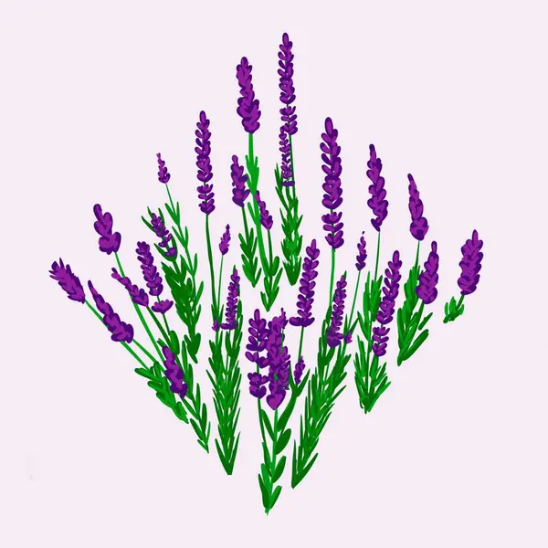 Kusursuz suluboya ve kapaklar, notlar ve afişler için eşsiz çiçek desenli arka plan. Yumuşak arkaplan rengi. Suluboya sanat eseri. Çiçek sapı. Renkli çiçek.