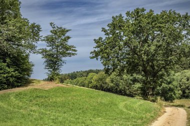 Ormanda bir patika. Uzakta bir yol, Almanya. 