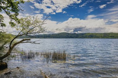 Güzel bir göl manzarası, Almanya 'da Laacher Denizi 