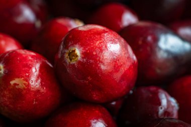 taze kırmızı kızılcık meyvesi