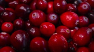 Taze kırmızı kızılcık arka planı. Kapat. yüksek kaliteli fotoğraf