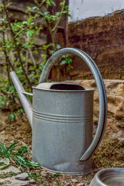 Bahçedeki eski paslı metal kova.