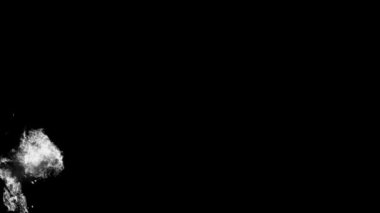 Animasyon Alfa Beyaz Parlak Görüntü