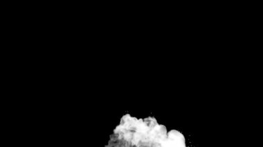 Animasyon Alfa Beyaz Parlak Görüntü