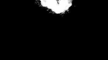 Animasyon Alfa Beyaz Parlak Görüntü