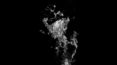 Animasyon Alfa Beyaz Parlak Görüntü