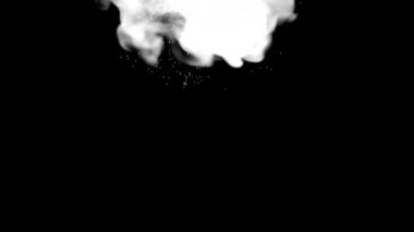 Animasyon Alfa Beyaz Parlak Görüntü