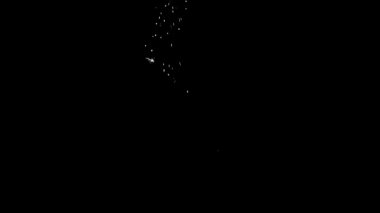 Animasyon Alfa Beyaz Parlak Görüntü