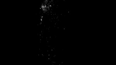 Animasyon Alfa Beyaz Parlak Görüntü