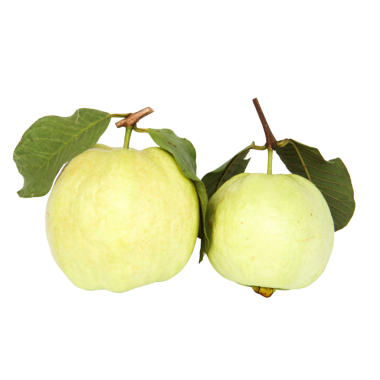 Guava meyvesi izole edilmiş şeffaf arkaplan