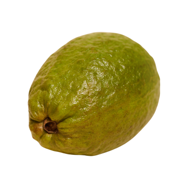 Guava meyvesi izole edilmiş şeffaf arkaplan