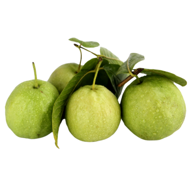 Guava meyvesi izole edilmiş şeffaf arkaplan