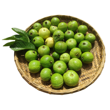 Guava meyvesi izole edilmiş şeffaf arkaplan