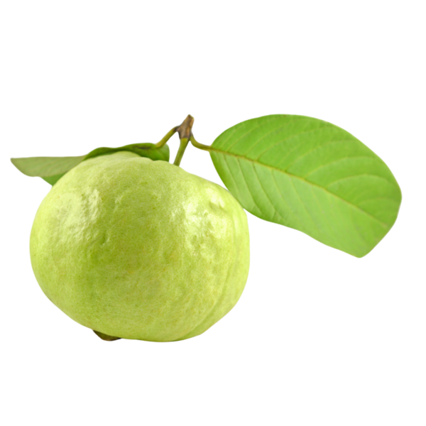 Guava meyvesi izole edilmiş şeffaf arkaplan