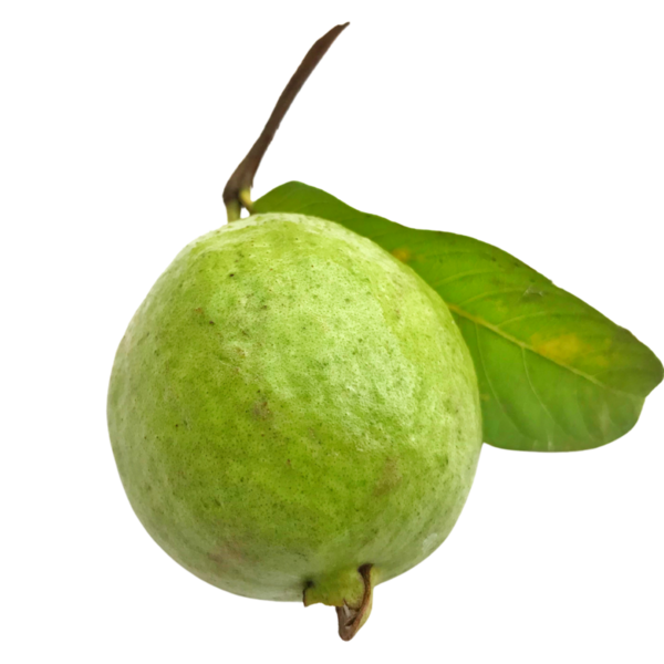 Guava meyvesi izole edilmiş şeffaf arkaplan