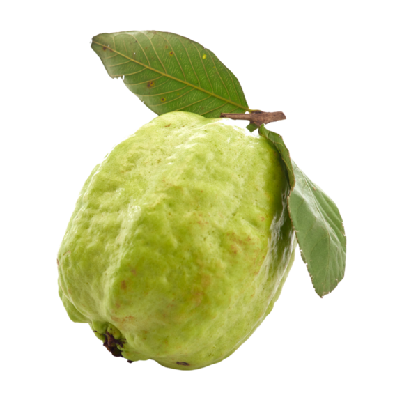 Guava meyvesi izole edilmiş şeffaf arkaplan