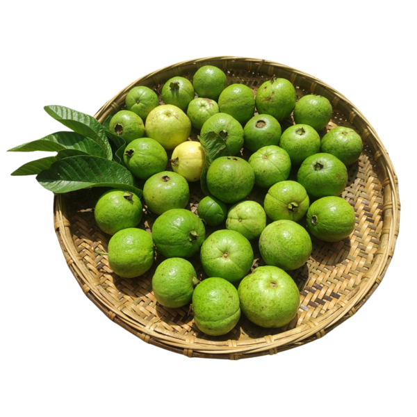 Guava meyvesi izole edilmiş şeffaf arkaplan