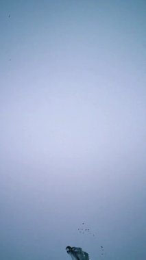 Su Sıçratma Elementleri dinamik arkaplan