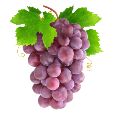 Üzüm Yalıtılmış Arkaplan