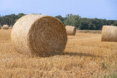 Balya, saman balyaları, Hay Balyaları, Yuvarlak Balyalar