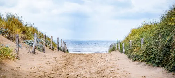 Zeeland  Netherlands. Panorama of a beautiful coast in the Netherlands.