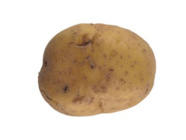 Mutfak kavramları için beyaz arka planda taze patates.