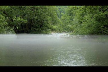 Saf doğa: durgun nehir yeşil arazide kıvranıyor